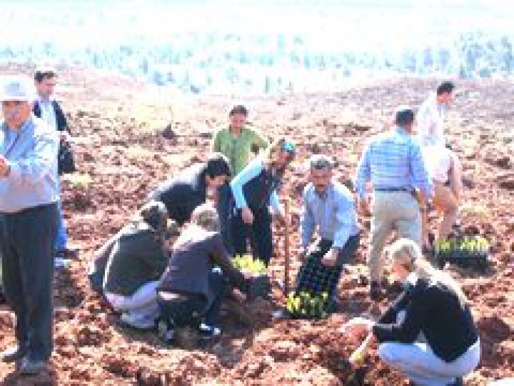 LykiaGroup'tan yeşil hareket!