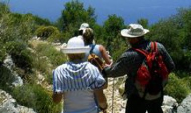 Bitki turları, bilgiyle dinlendiriyor