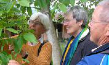 BOTANİK'TE BOTANİKLERİ İNCELEDİLER