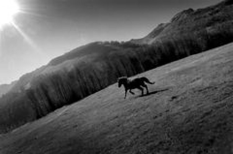 BALKANLAR'IN IŞIĞI BEYOĞLU'NDAN YANSIYACAK