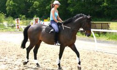 YAŞAR ÜNİVERSİTESİ, ATLI TURİZM REHBERLERİ YETİŞTİRECEK