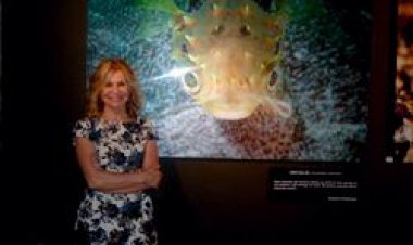 AYŞEGÜL DİNÇKÖK'ÜN ''DERİN TUTKU''SERGİSİ MARDİN'DE