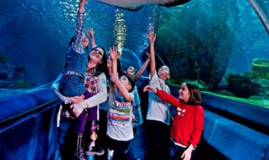 EĞLENCEYE DOYACAKLAR