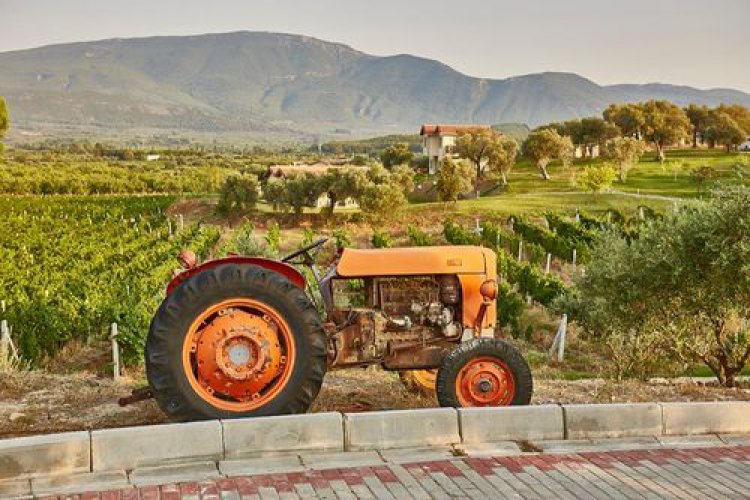 YEDİ BİLGELER, AVRUPA'NIN EN İYİ 6 BAĞ OTELİ ARASINA GİRDİ