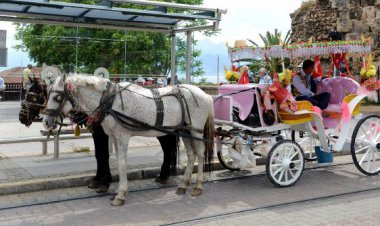 ÖRNEK KARAR! ANTALYA’DA FAYTONLAR KALKIYOR...
