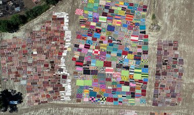 DÜNYA DÖŞEMEALTI’NIN HALI TARLALARINI KONUŞUYOR