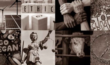 DÜNYA VEGAN GÜNÜ TÜRKİYE ETKİNLİĞİ