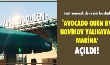 'AVOCADO QUEN BY NOVİKOV YALIKAVAK MARİNA' AÇILDI