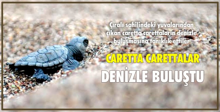 CARETTA CARETTALAR DENİZLE BULUŞTU