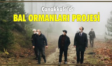 ÇANAKKALE'DE BAL ORMANLARI PROJESİ