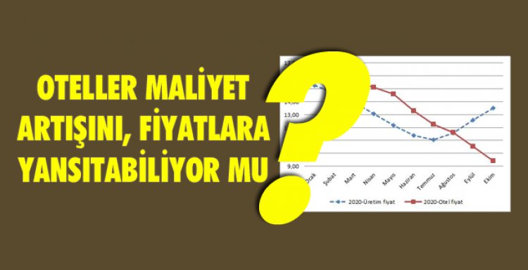 OTELLER MALİYET ARTIŞINI, FİYATLARA YANSITABİLİYOR MU?