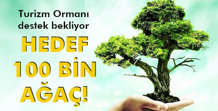 HEDEF 100 BİN AĞAÇ!