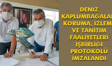 DENİZ KAPLUMBAĞALARI KORUMA, İZLEME VE TANITIM FAALİYETLERİ İŞBİRLİĞİ PROTOKOLÜ İMZALANDI