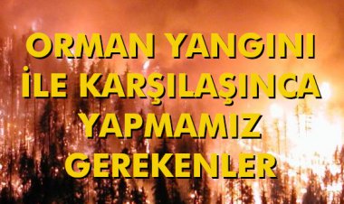 ORMAN YANGINI İLE KARŞILAŞINCA YAPMAMIZ GEREKENLER
