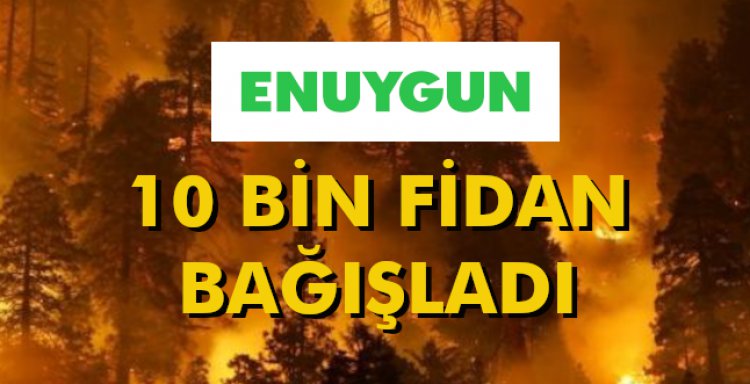 10 BİN FİDAN BAĞIŞLADI
