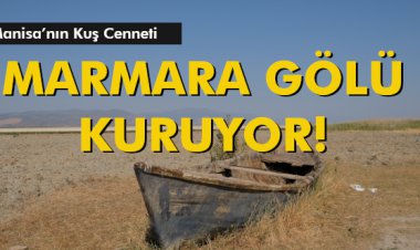 MANİSA'NIN KUŞ CENNETİ MARMARA GÖLÜ KURUYOR!