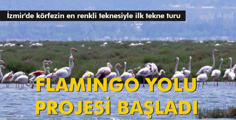 FLAMİNGO YOLU PROJESİ BAŞLADI