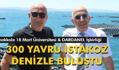 300 YAVRU ISTAKOZ DENİZLE BULUŞTU