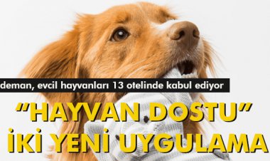 DEDEMAN'DAN 'HAYVAN DOSTU”' İKİ YENİ UYGULAMA