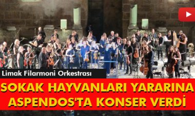 SOKAK HAYVANLARI YARARINA ASPENDOS'TA KONSER VERDİ