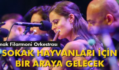 SOKAK HAYVANLARI İÇİN BİR ARAYA GELECEK