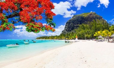 YURT DIŞINA TALEP ARTIYOR