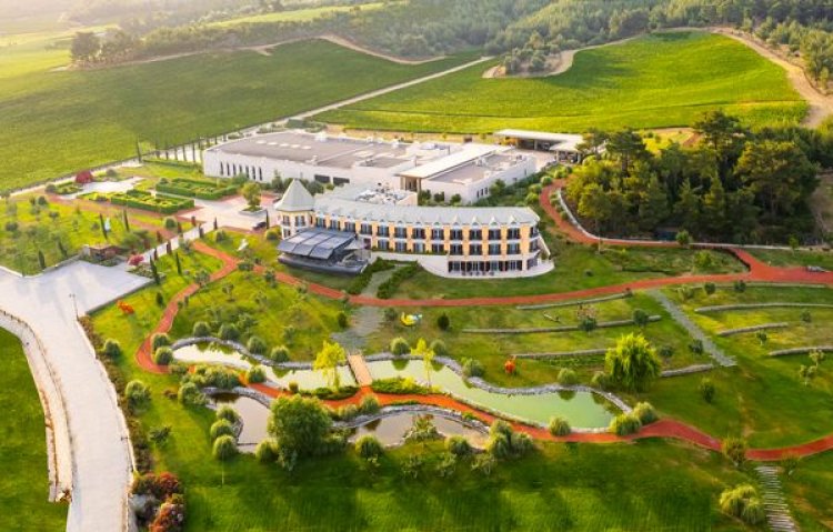 ÜZÜMÜN ASMADAN KADEHE YOLCULUĞU HOTEL CAELİ’DE!