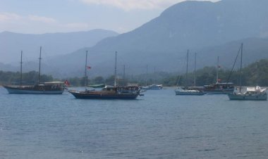 TEKNE TURLARINI ÇOK SEVİYORLAR