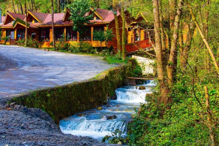 EN GÜZEL SONBAHAR FOTOĞRAFLARI BURALARDA ÇEKİLİR!