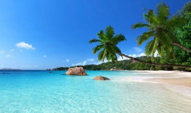 RUS PAZARINDA YENİ RAKİBİMİZ, ŞEYŞELLER!