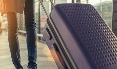 GELİR ARTIŞI FİYATLARDAN!