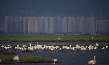YEREL SEÇİM SONRASI BELEDİYELERE ÇAĞRI!
