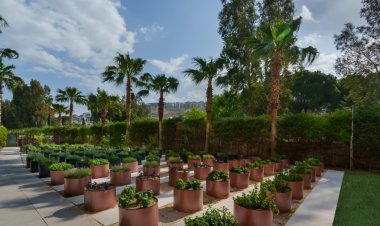 KARBON SALINIMINI %10 AZALTACAK