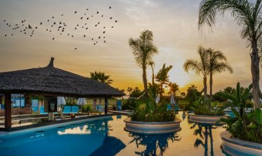 KIRLANGIÇLAR BU OTELDE TATİL YAPIYOR!