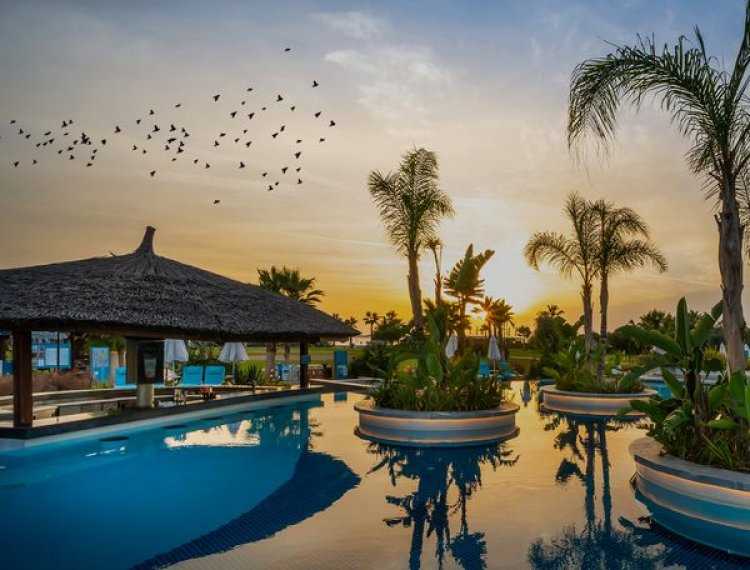 KIRLANGIÇLAR BU OTELDE TATİL YAPIYOR!