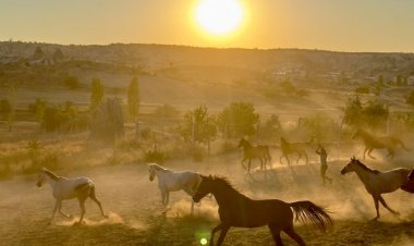 KAPADOKYA’DA BİR İLK: ÜRGÜP AT FESTİVALİ BAŞLIYOR!