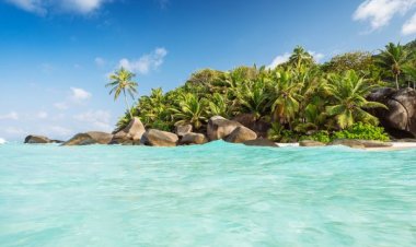 SEYŞELLER TURİZM OFİSİ'NDEN İSTANBUL'DA ÖZEL TANITIM TOPLANTISI