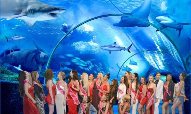 GÜZELLER ANTALYA AQUARIUM'DA