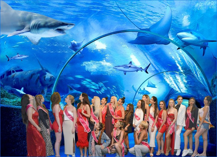 GÜZELLER ANTALYA AQUARIUM'DA