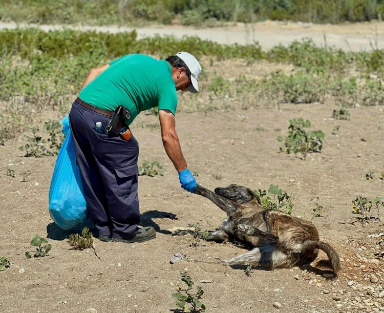 ANLAMLI TEMİZLİK ETKİNLİĞİ