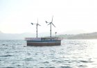 BODRUM'DAN GÜZEL HABER VAR!
