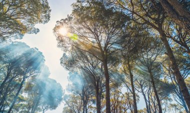 TATİLDE YANGIN RİSKİNE KARŞI NASIL DAVRANMALIYIZ?