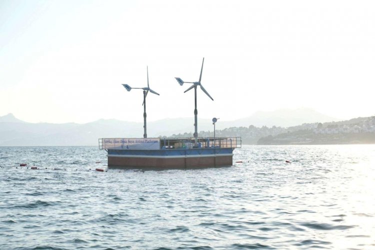 BODRUM'DAN GÜZEL HABER VAR!