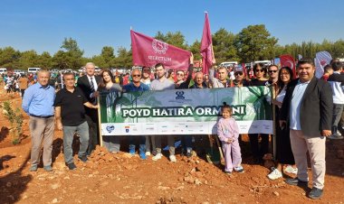 POYD’UN HEDEFİ 20 BİN FİDAN