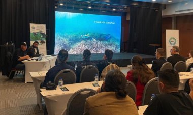 LARA KIYILARINDA DENİZ ERİŞTESİ İÇİN BİLİM TEMELLİ KORUMA PROJESİ BAŞLATILDI