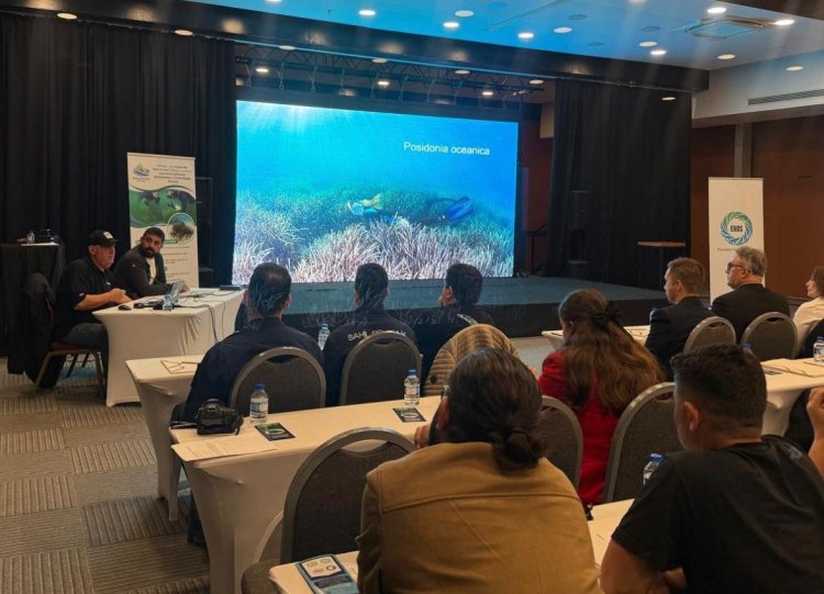 LARA KIYILARINDA DENİZ ERİŞTESİ İÇİN BİLİM TEMELLİ KORUMA PROJESİ BAŞLATILDI