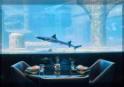 NEMO, DENİZ ALTI DÜNYASINDAN İLHAM ALAN ATMOSFERİYLE İSTANBUL’DA