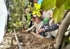 TÜRKİYE’NİN ÇEVRE EĞİTİMİ DENEYİMİ KÜRESEL PLATFORMLARA TAŞINIYOR