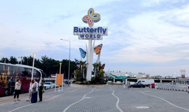 ANTALYA TURİZMİNE ‘BUTTERFLY WORLD’ DOPİNGİ: HEM DOĞA MUCİZESİ HEM DE DESTANSAL GÖSTERİLER