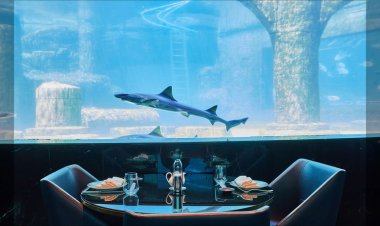 NEMO, DENİZ ALTI DÜNYASINDAN İLHAM ALAN ATMOSFERİYLE İSTANBUL’DA